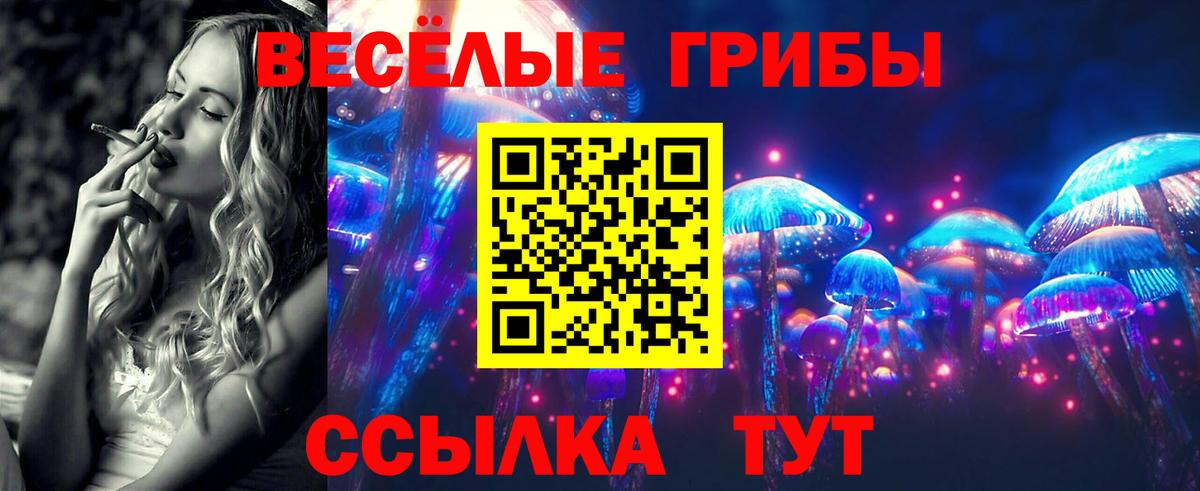 Ижевск  Галлюциногенные грибы Psilocybe  продажа наркотиков  Вход с VPN 